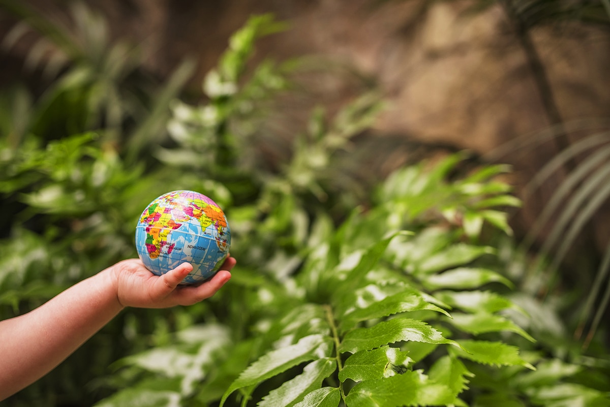 Transforming the Future: Why Education for Sustainable Development is Essential for a Better World