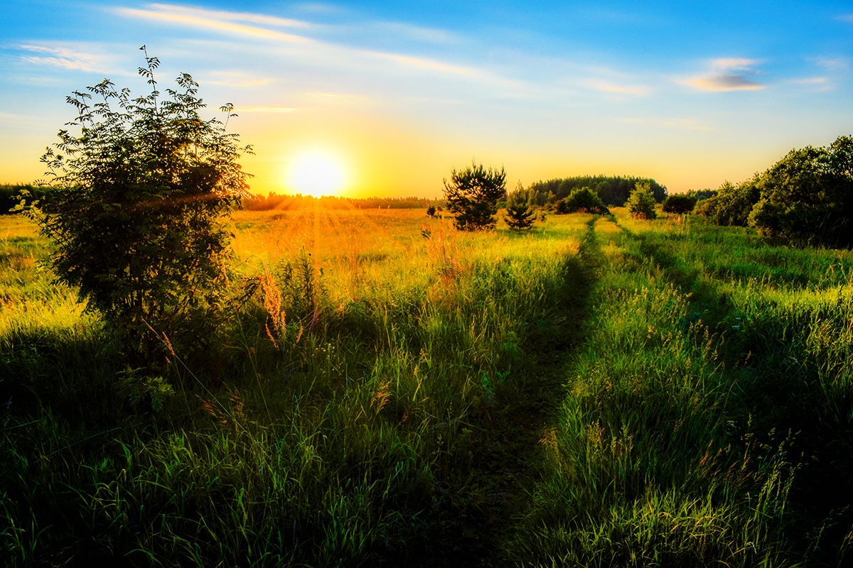 Why Rural Living Is the Ultimate Escape: Discover the Beauty of Rural Houses