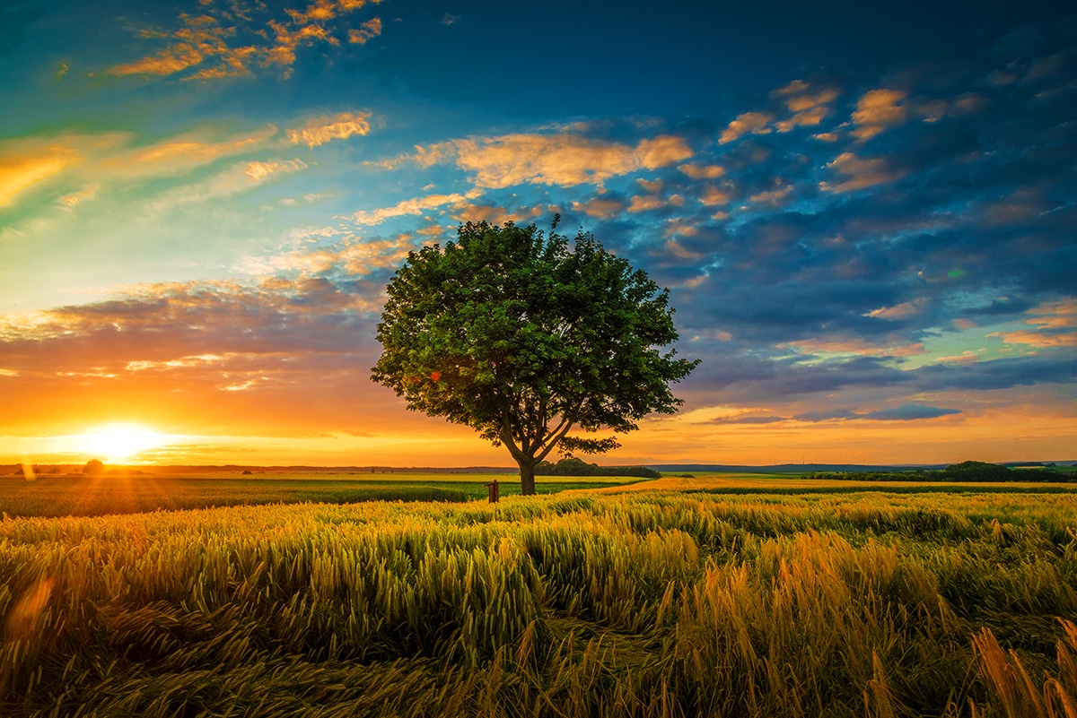 Protecting Our Planet: Why Investing in Protected Areas Is Essential for a Sustainable Future