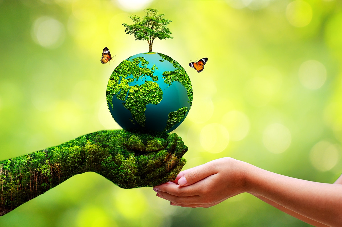Protect the Planet: Why Every Individual Should Take Action for a Better Environment