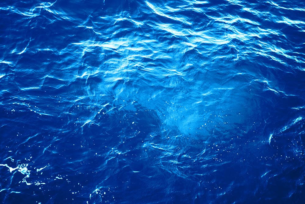 Protect Your Health and the Planet: Why it’s time to take action for Clean Water