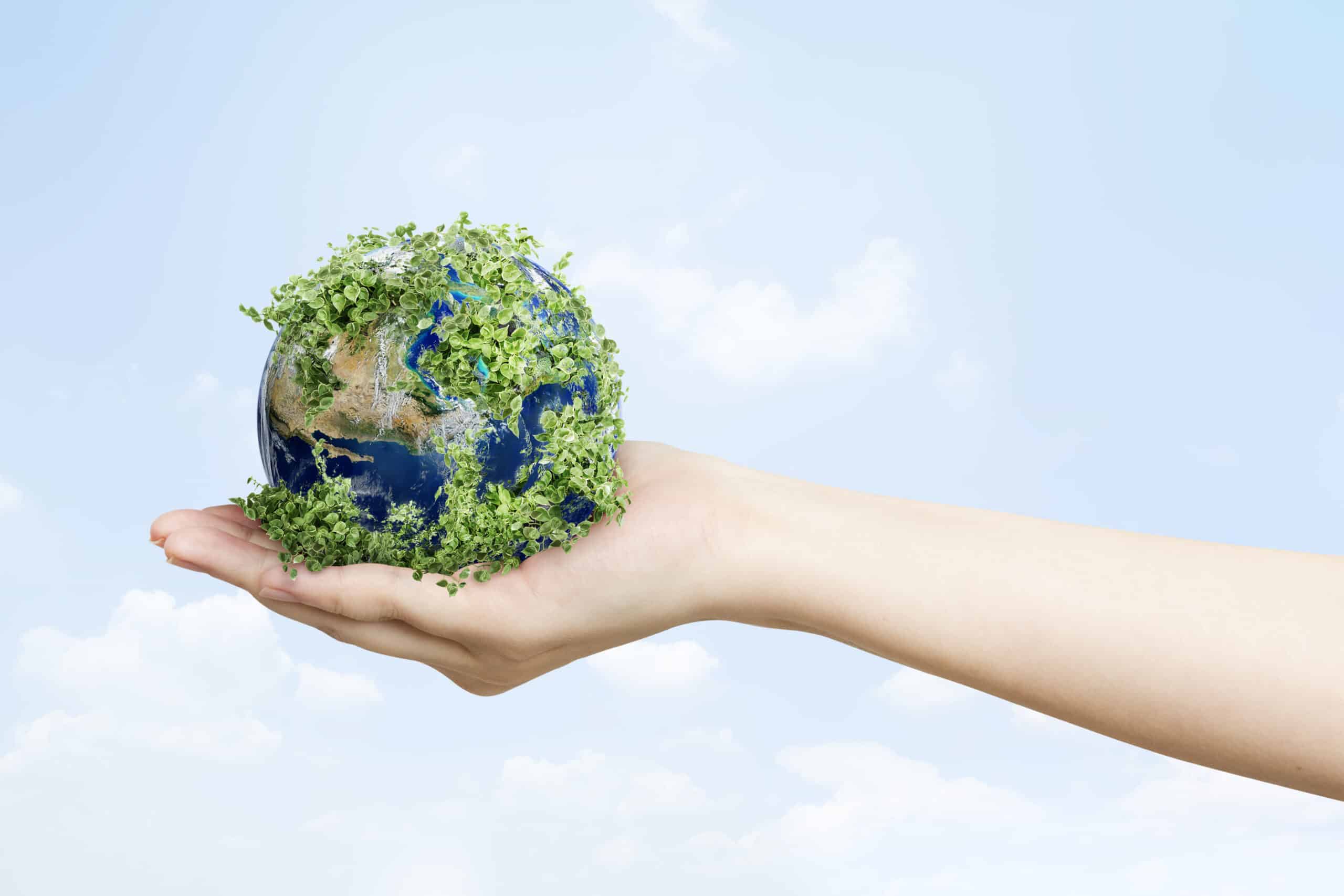 Saving the Planet: Why Ecology and Politics Must Unite for a Sustainable Future