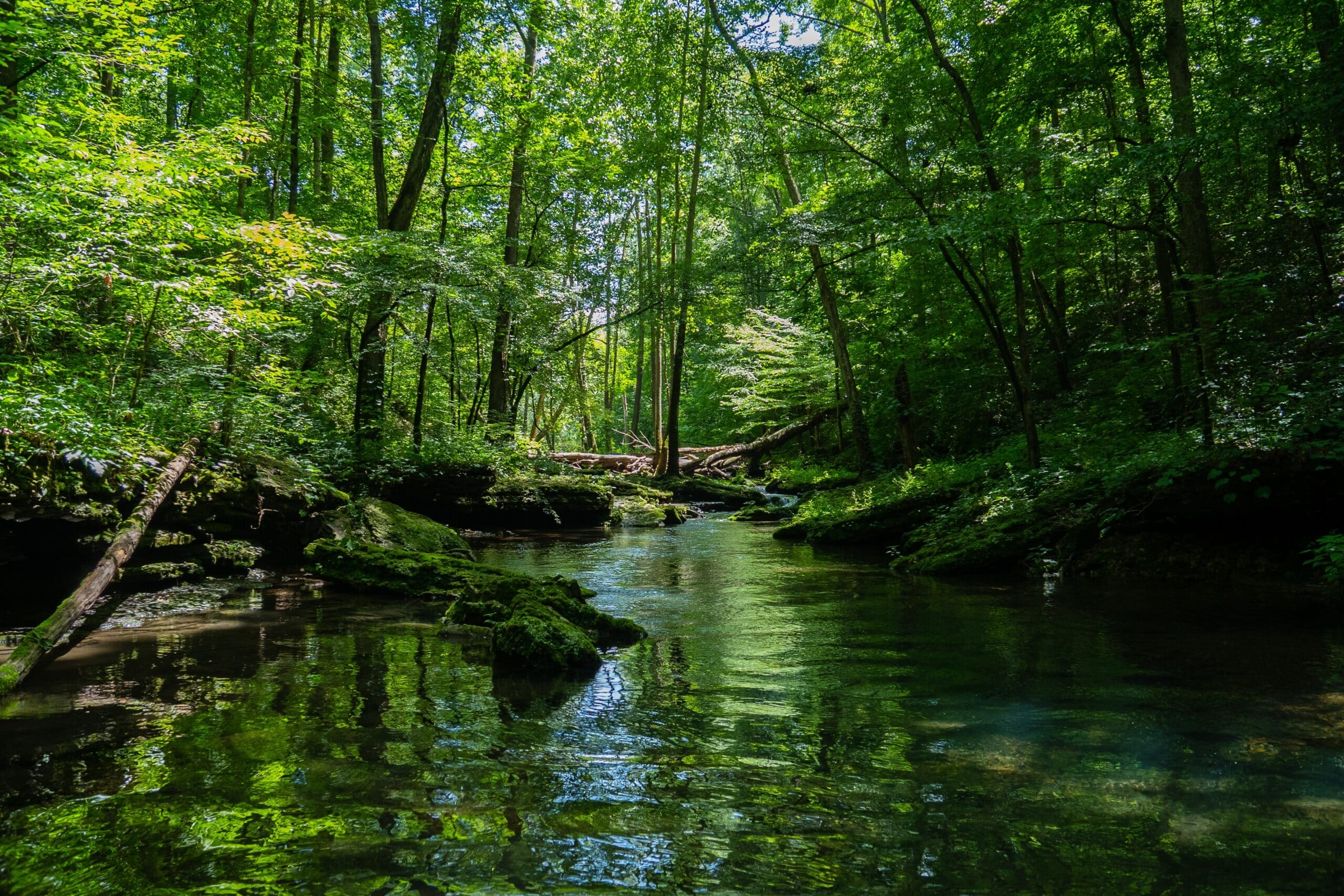 Protecting Our Planet: Why Investing in Protected Areas Is Essential for a Sustainable Future